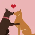 39% Think Animal Lovers Won’t Cheat—But This Valentine’s Day Survey Reveals Something Unexpected