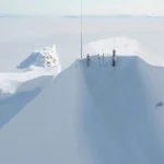 Arctic disruption forces animals into survival mode as scientists quietly share alarming notes