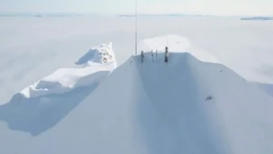 Arctic disruption forces animals into survival mode as scientists quietly share alarming notes