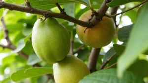 Scientists Watch Africa Splitting Apart in Real Time—This Desert Crack Could Birth a New Ocean