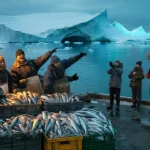 Tennis balls save wildlife debate splits neighborhoods as experts clash over controversial garden method