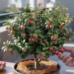 This £140 state pension cut just hit thousands of bank accounts – and retirees are stunned