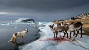 This Arctic disruption could flip February weather patterns in ways meteorologists rarely see