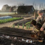 This forgotten February soil trick doubled ancient harvests—here’s what they knew