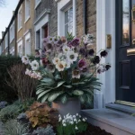 This winter porch plant stopped every neighbor on my street