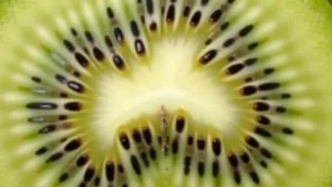 Why Tilapia Fish Went From “Poor People’s Food” to Brazil’s Most Trusted Protein in Just 3 Years